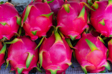 Dragon Fruit : 南国の果物・ドラゴンフルーツ