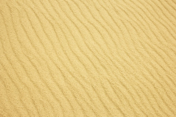 Sand Texture./ Sand Texture. 