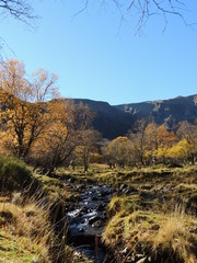 Ruisseau vallée de Chaudefour - Auvergne