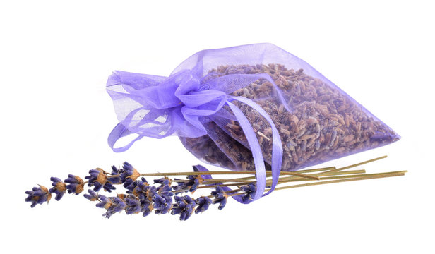 Fototapeta lavender on white