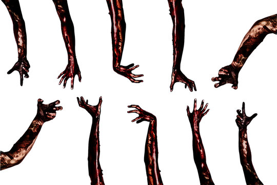 Halloween theme:Blood zombie hands on white background , zombie, demon, killer, maniac with clipping path.