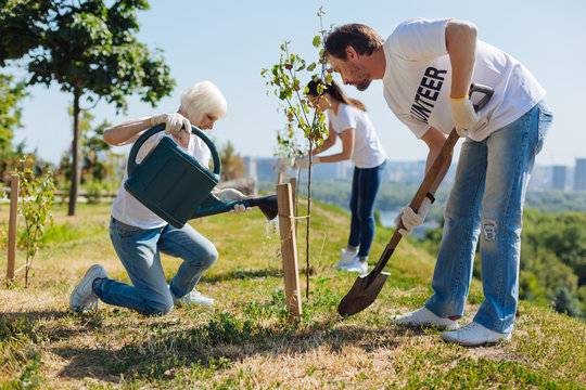Attentive hardworking citizens renewing local park