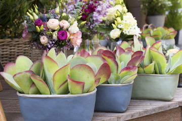 Plantes et bouquets chez un fleuriste
