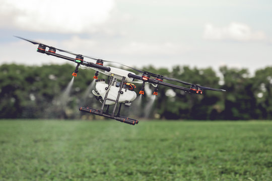Agriculture drone fly to sprayed fertilizer on the rice fields. Industrial agriculture and smart farming