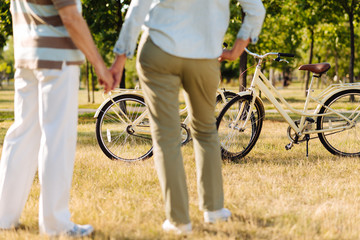 Focused photo on bicycles that standing in park