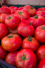 Fresh tomatoes on a market in Ljubljana Slovenia