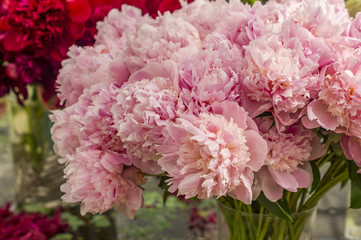 beautiful bouquet of pink peony flowers
