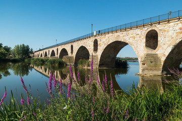 Bridge over Douro river in Zamora, Spain