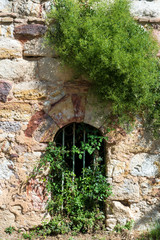 Fototapeta na wymiar Small door almost hidden by the vegetation in the wall of a castle