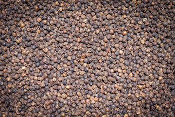 Black Peppercorns,Peppercorn Varieties. Milled black pepper.and Black pepper grains as background close up,texture,spice medicinal properties.