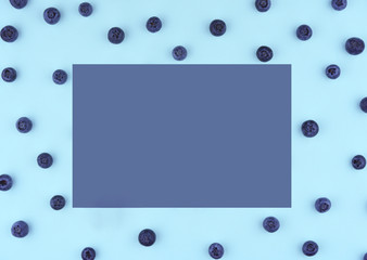 Freshly picked blueberries on blue background.