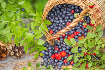 Fresh blueberries and strawberries in a basket