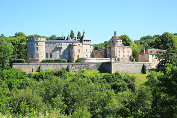 Fototapeta na wymiar The historic Castle Chastellux in Burgundy, France