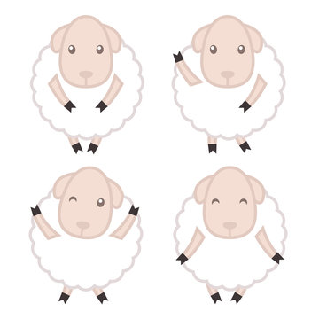 Set of 4 vector sheep