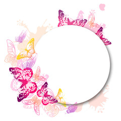 beautiful pink butterflies, isolated  on a white - 165411075