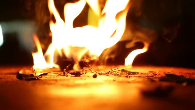 Sacred Fire. Flame close-up in the Indian Temple on a Religious Festival Mahashivaratri.