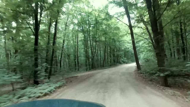 car in forest