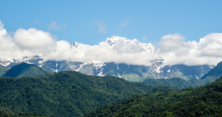 Snowy mountain peaks and green meadows and forests