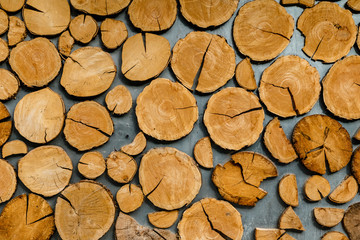 Background of a round cut tree