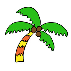 Palm tree color vector hand drawn doodle