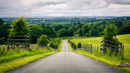 Fototapeta na wymiar Country lane in rural Cumbria