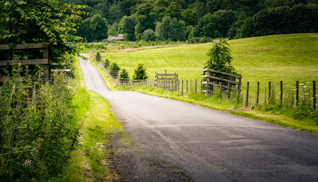 Country lane in rural Cumbria