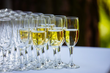 a row of glasses filled with champagne are lined up ready to be served