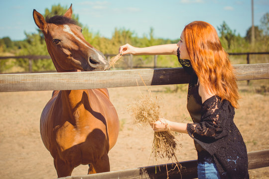 Young beautiful woman with red hair wearing in casual Boho style, with horses on a farm, pets animals in village in a rancho. Horses are human friends