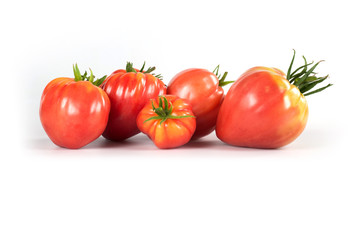 pomodori bio