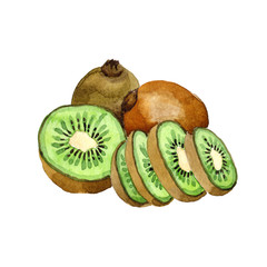 Obraz premium Exotic kiwi healthy food in a watercolor style isolated. Full name of the fruit: kiwi. Aquarelle wild frukt for background, texture, wrapper pattern or menu.
