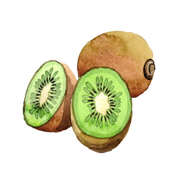 Exotic kiwi healthy food in a watercolor style isolated. Full name of the fruit: kiwi. Aquarelle wild frukt for background, texture, wrapper pattern or menu.