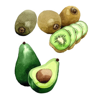 Exotic kiwi and avocado healthy food in a watercolor style isolated. Full name of the fruit: kiwi and avocado. Aquarelle wild frukt for background, texture, wrapper pattern or menu.