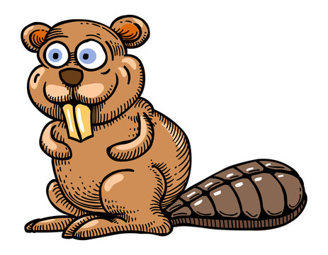 Cartoon image of beaver. An artistic freehand picture.