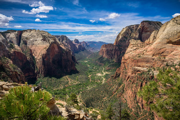 The view from Angels Landing