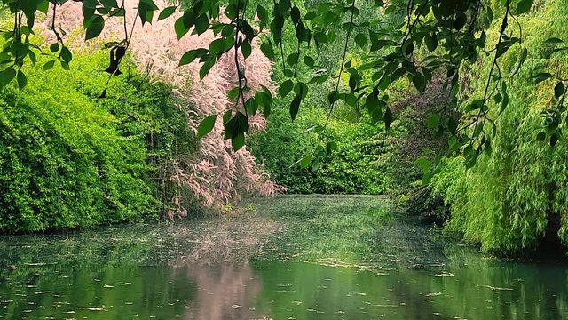 Lago en Parque con Frondosa Vegetacion en Primavera
