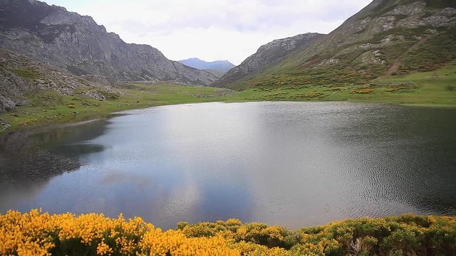 Paisaje con Lago natural entre monta&ntilde;as , en primavera, con brezos florecidos. Lago de Isoba. Leon