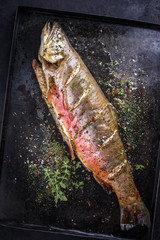 Barbecue char with herbs as top view on an old metal sheet