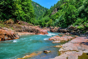 Fototapeta premium Summer landscape with mountain river