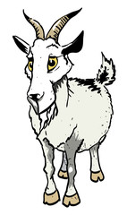 Cartoon image of goat. An artistic freehand picture.