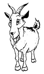 Cartoon image of goat. An artistic freehand picture.