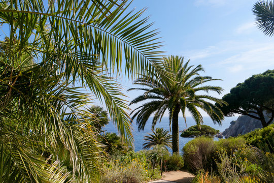 Botanischer Garten Marimurtra Blanes Spanien