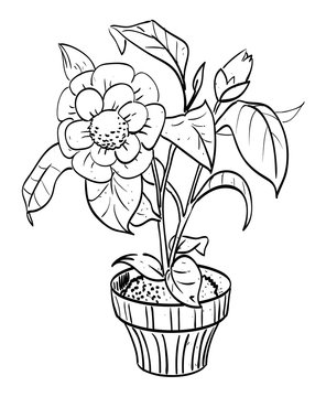 Cartoon image of house plant. An artistic freehand picture.