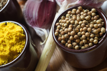 Spices and herbs in ceramic bowls. Coriander and curcuma seasoning. Colorful natural additives.