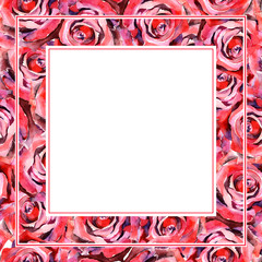 Wildflower rose flower frame in a watercolor style. Full name of the plant: rose. Aquarelle wild flower for background, texture, wrapper pattern, frame or border.