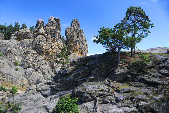 Hamburger Wappen - Kletterfelsen im Harz