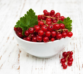 fresh red currant