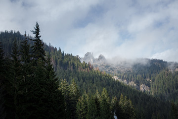 Valley in the mountains