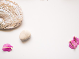FLOWER , SHELL AND STONE