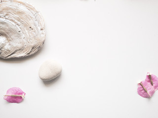 STONES FLOWERS AND SHELLS