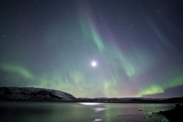 Aurea Borealis Nordlicht auf Island